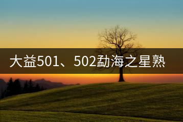 大益501、502勐海之星熟茶
