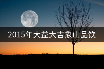 2015年大益大吉象山品飲