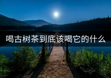 喝古樹(shù)茶到底該喝它的什么？