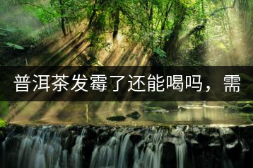 普洱茶發(fā)霉了還能喝嗎，需要怎么處理？