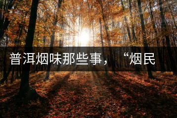 普洱煙味那些事，“煙民”不怕當(dāng)
