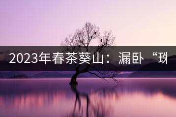 2023年春茶葵山：漏臥“珠江紅：1200元-3200元（有3個檔次）漏臥“大廠茶”：古樹單株8600-9000元／公斤，中樹4800-5200元／公斤，小樹混采2600-2800元／公斤。