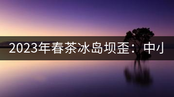 2023年春茶冰島壩歪：中小樹800元／公斤，古樹1400-1600元／公斤