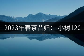2023年春茶昔歸： 小樹(shù)1200-1600元／公斤，大樹(shù)4500-5200元／公斤，古樹(shù)7500-9000元／公斤.