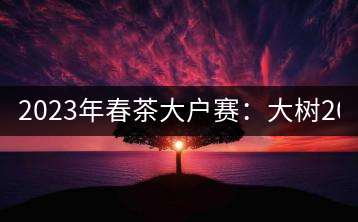 2023年春茶大戶賽：大樹200-300元／公斤，古樹800-1000元／公斤