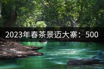 2023年春茶景邁大寨：500-750元／公斤