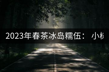 2023年春茶冰島糯伍： 小樹1300元／公斤，古樹：2100~2300元／公斤