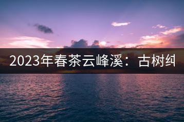 2023年春茶云峰溪：古樹純料：1200-1500元／公斤，古樹混采800-1000元／公斤，大樹500-800元／公斤，小樹300-500元／公斤
