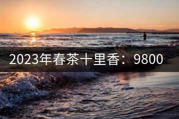 2023年春茶十里香：9800-12000元／公斤，十里香紅茶：9800-12000元／公斤
