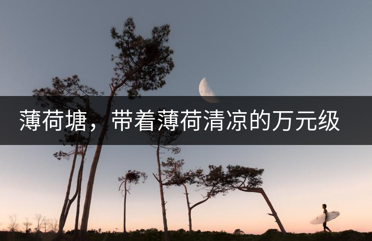 薄荷塘，帶著薄荷清涼的萬元級普洱