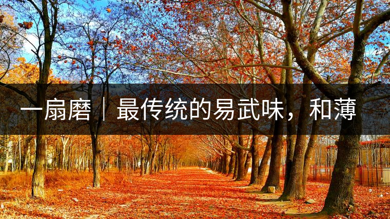 一扇磨｜最傳統(tǒng)的易武味，和薄荷塘一脈同宗，價格卻天差地別