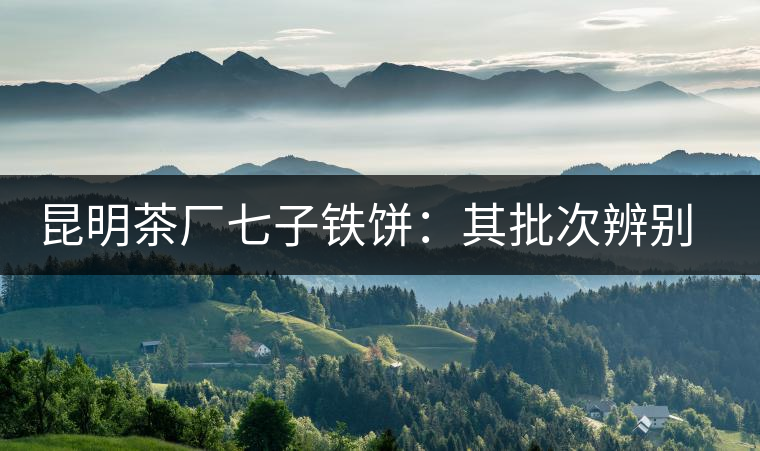 昆明茶廠七子鐵餅：其批次辨別、配方、年份大盤點！