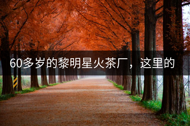 60多歲的黎明星火茶廠，這里的人依然在做茶