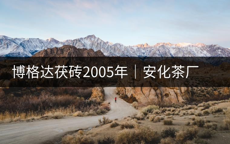 博格達(dá)茯磚2005年｜安化茶廠定制款，金花滿披，梅山韻濃！