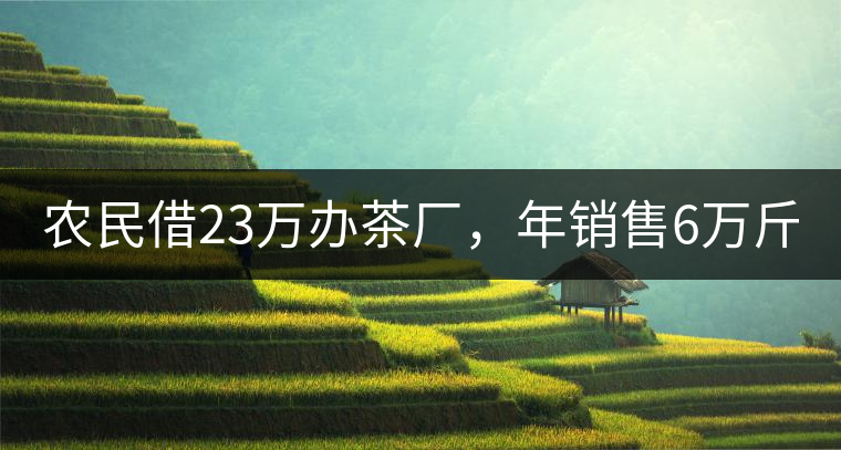 農(nóng)民借23萬辦茶廠，年銷售6萬斤，每天休息僅20分鐘!農(nóng)民借23萬辦茶廠，年銷售6萬斤，每天休息僅20分鐘！