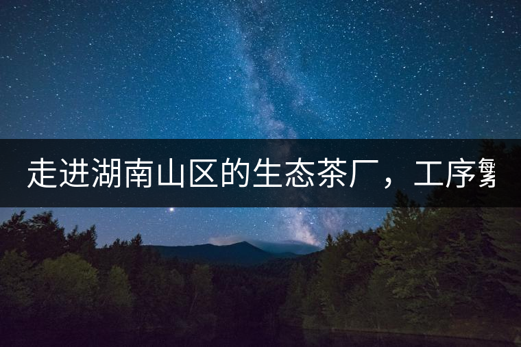 走進(jìn)湖南山區(qū)的生態(tài)茶廠，工序繁雜精細(xì)，538塊錢1斤真值走進(jìn)湖南山區(qū)的生態(tài)茶廠，工序繁雜精細(xì)，538塊錢1斤真值