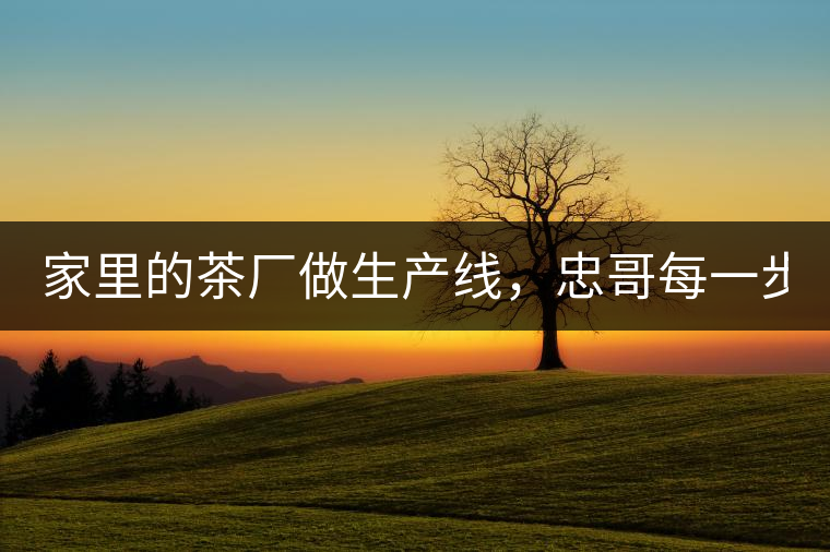 家里的茶廠做生產(chǎn)線，忠哥每一步都親自做，每個(gè)步驟...家里的茶廠做生產(chǎn)線，忠哥每一步都親自做，每個(gè)步驟都非常嚴(yán)謹(jǐn)！