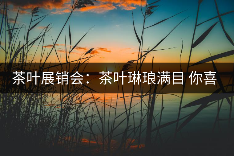 茶葉展銷會：茶葉琳瑯滿目 你喜歡哪種？