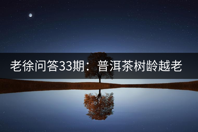 老徐問(wèn)答33期：普洱茶樹(shù)齡越老越貴，那100年樹(shù)齡的老班章呢？