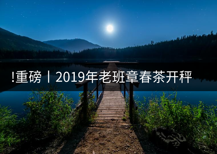 !重磅丨2019年老班章春茶開秤，一筆定價(jià)？如此出人意料！