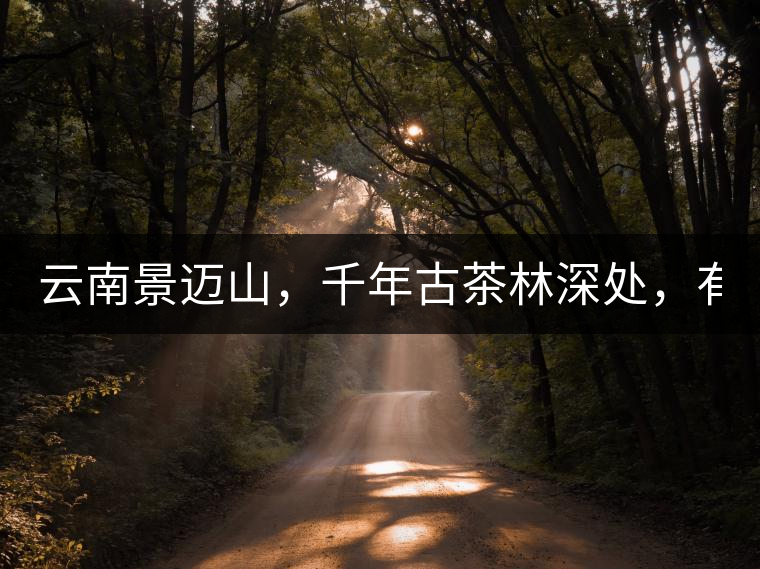 云南景邁山，千年古茶林深處，有一座世外桃源般的糯...云南景邁山，千年古茶林深處，有一座世外桃源般的糯干古寨