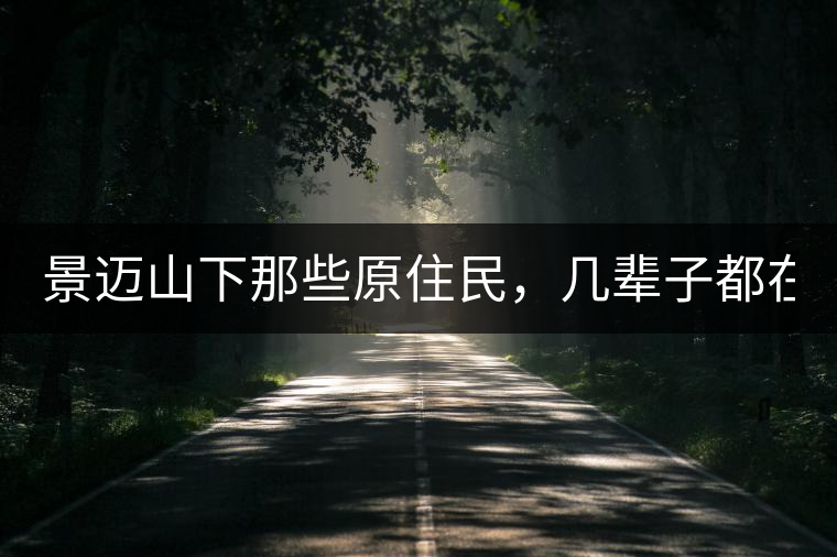景邁山下那些原住民，幾輩子都在采茶、制茶，才有最...景邁山下那些原住民，幾輩子都在采茶、制茶，才有最好喝的普洱