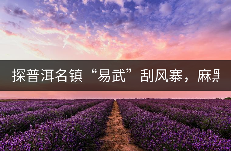 探普洱名鎮(zhèn)“易武”刮風(fēng)寨，麻黑，落水洞!小編親自下...探普洱名鎮(zhèn)“易武”刮風(fēng)寨，麻黑，落水洞！小編親自下手“殺青”