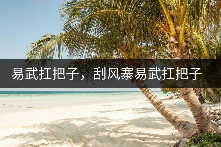 易武扛把子，刮風(fēng)寨易武扛把子，刮風(fēng)寨