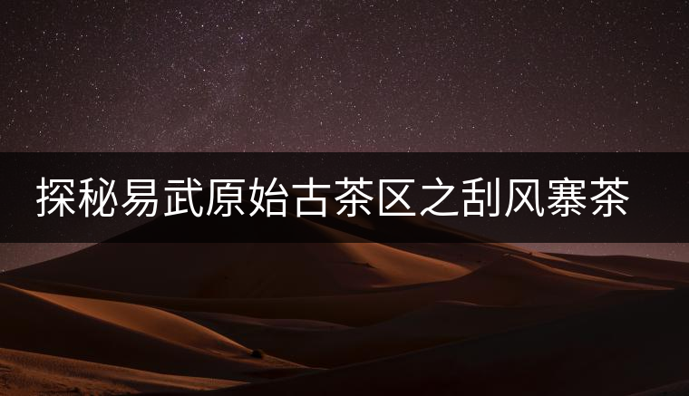 探秘易武原始古茶區(qū)之刮風(fēng)寨茶王樹探秘易武原始古茶區(qū)之刮風(fēng)寨茶王樹