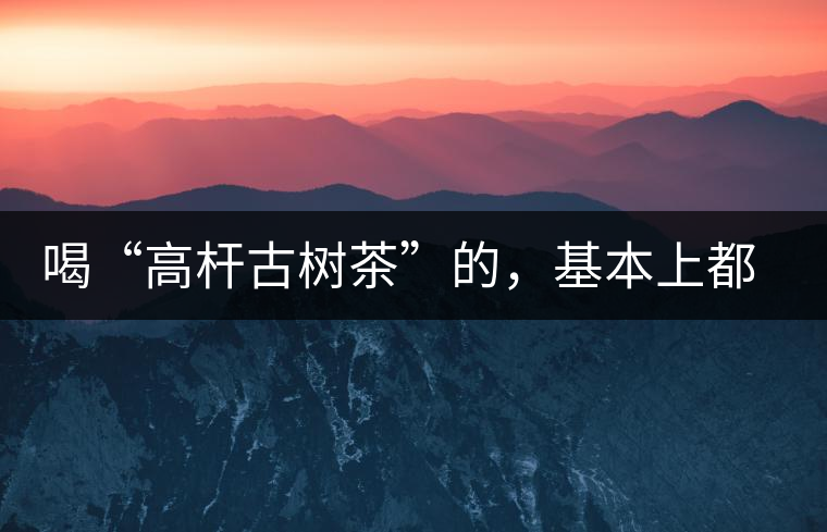 喝“高桿古樹茶”的，基本上都是不懂茶的