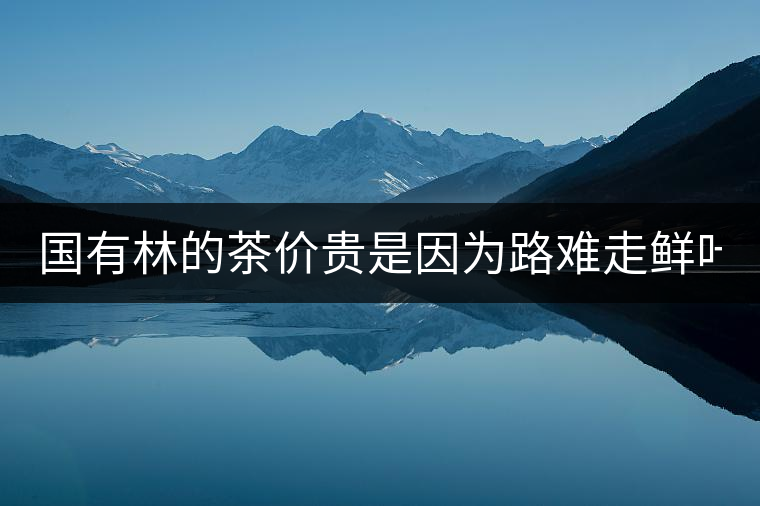 國(guó)有林的茶價(jià)貴是因?yàn)槁冯y走鮮葉難采?不怕，現(xiàn)在有它了...國(guó)有林的茶價(jià)貴是因?yàn)槁冯y走鮮葉難采？不怕，現(xiàn)在有它了！