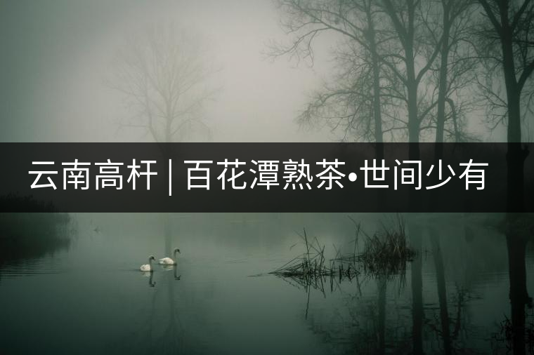 云南高桿 | 百花潭熟茶?世間少有的珍品云南高桿 | 百花潭熟茶?世間少有的珍品