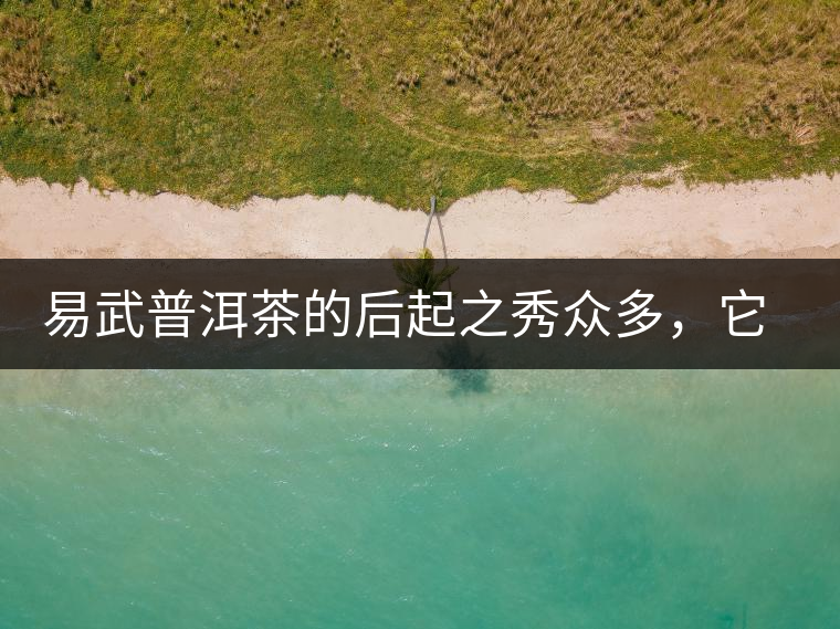 易武普洱茶的后起之秀眾多，它是還沒(méi)漲價(jià)的一個(gè)！