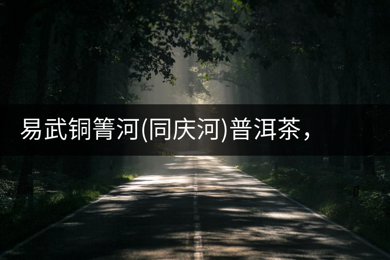 易武銅箐河(同慶河)普洱茶，讓我拜倒的不止它的口感易武銅箐河（同慶河）普洱茶，讓我拜倒的不止它的口感