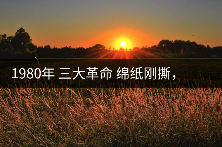 1980年 三大革命 綿紙剛撕，品相極好，整體干凈漂亮1980年 三大革命 綿紙剛撕，品相極好，整體干凈漂亮