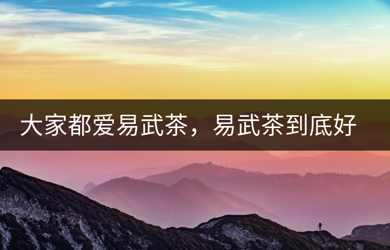 大家都愛易武茶，易武茶到底好在哪兒?大家都愛易武茶，易武茶到底好在哪兒？