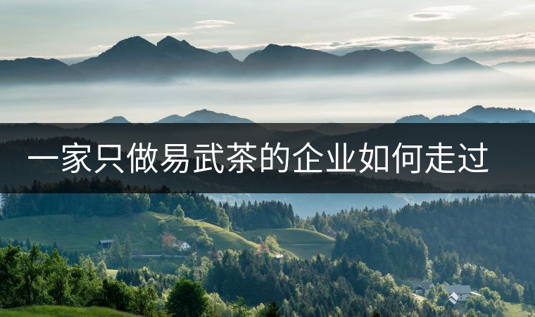 一家只做易武茶的企業(yè)如何走過了十年？