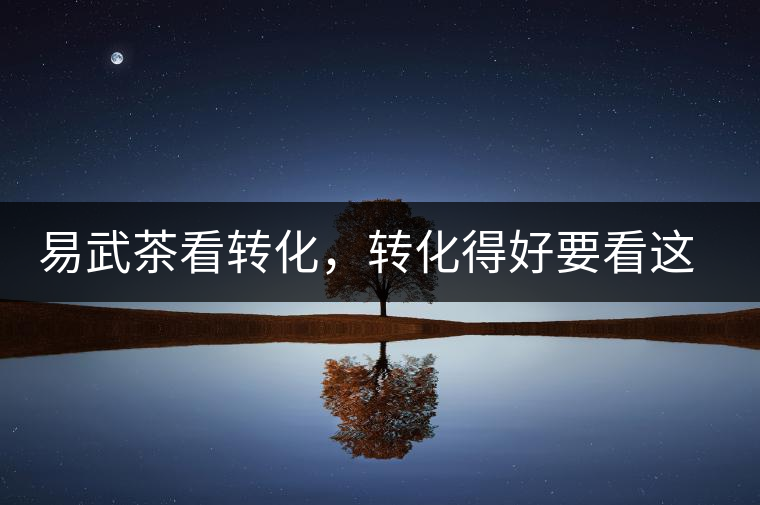 易武茶看轉(zhuǎn)化，轉(zhuǎn)化得好要看這三要素及品牌優(yōu)勢！