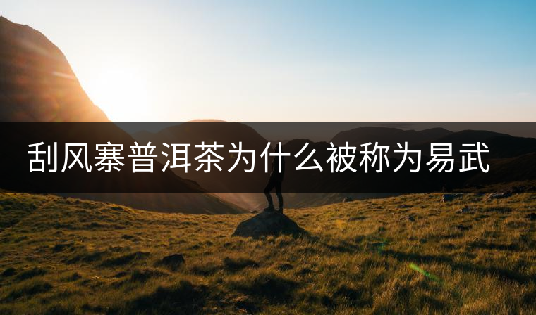 刮風(fēng)寨普洱茶為什么被稱為易武茶王？