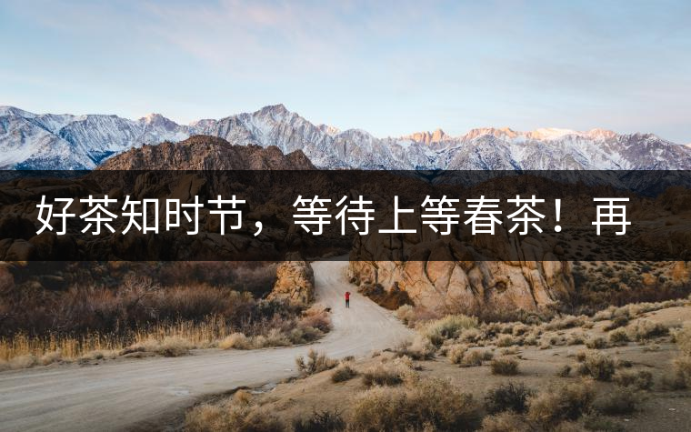 好茶知時(shí)節(jié)，等待上等春茶！再來(lái)回味這些年喝過(guò)的小戶賽古樹春茶
