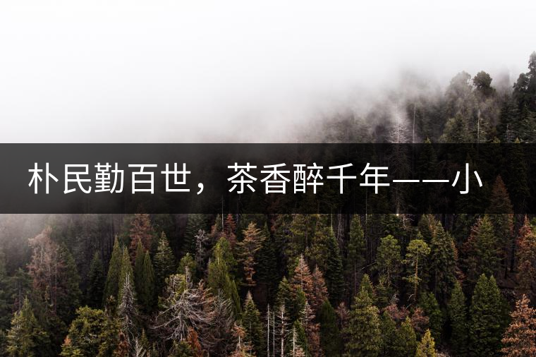 樸民勤百世，茶香醉千年——小戶賽古寨