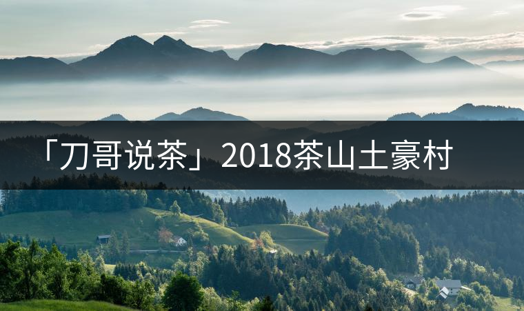 「刀哥說茶」2018茶山土豪村排行榜
