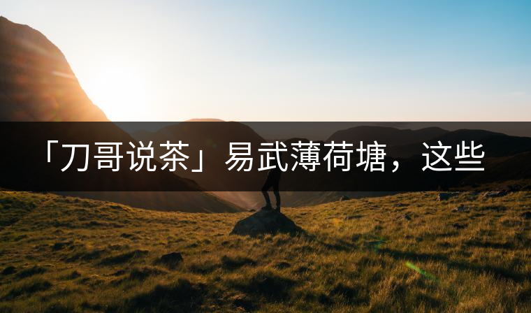 「刀哥說(shuō)茶」易武薄荷塘，這些冷知識(shí)你該知道