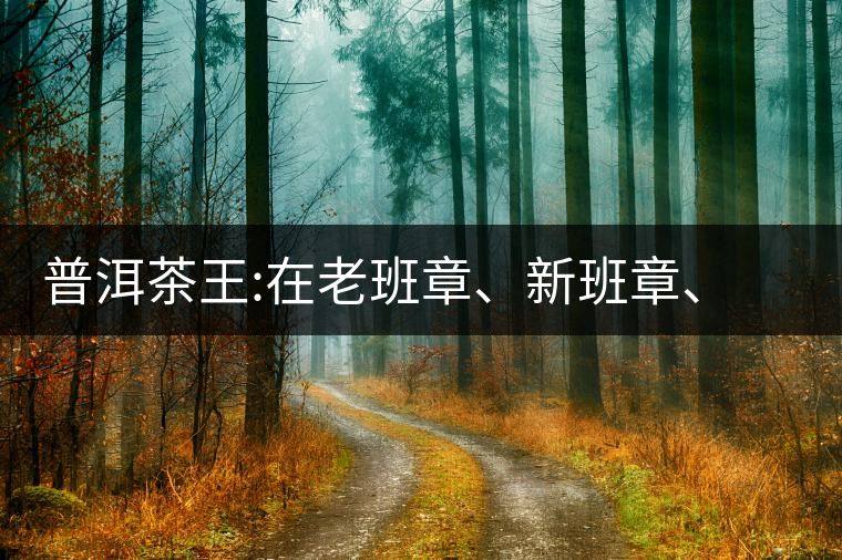 普洱茶王:在老班章、新班章、老曼峨之間普洱茶王：在老班章、新班章、老曼峨之間
