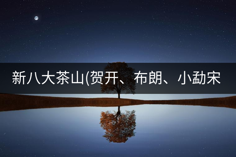 新八大茶山(賀開、布朗、小勐宋、巴達)講解二新八大茶山（賀開、布朗、小勐宋、巴達）講解二