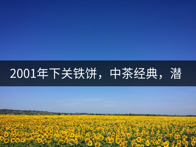 2001年下關鐵餅，中茶經典，潛力可期!
