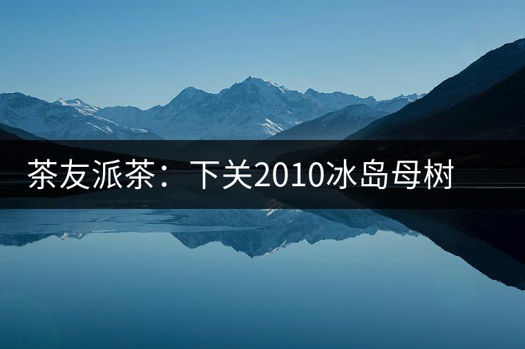 茶友派茶：下關(guān)2010冰島母樹(shù)，挺甜的，母樹(shù)是個(gè)什么概念？