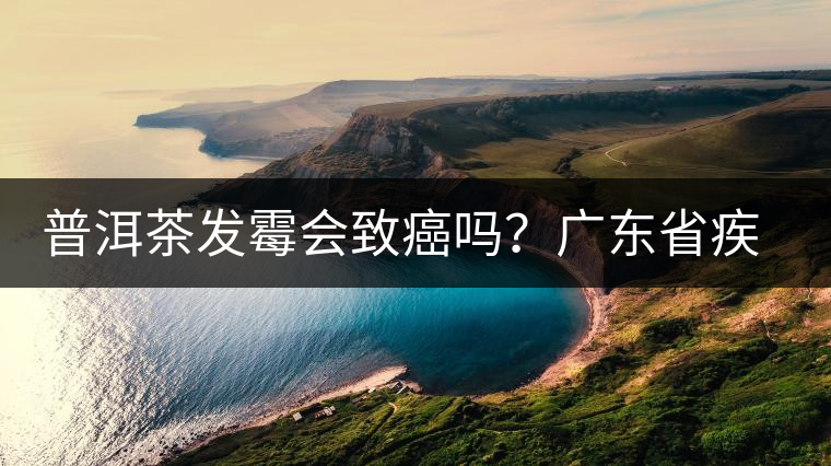 普洱茶發(fā)霉會(huì)致癌嗎？廣東省疾病預(yù)防控制中心檢測(cè)的結(jié)果是…