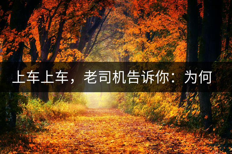 上車上車，老司機告訴你：為何明前茶貴如金