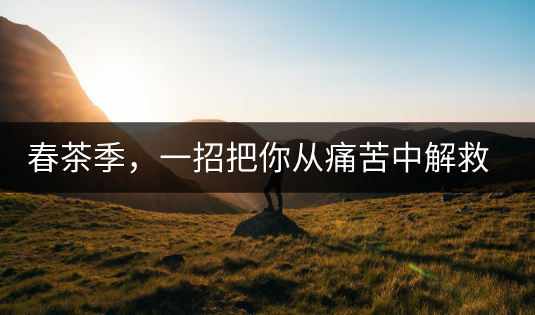 春茶季，一招把你從痛苦中解救出來